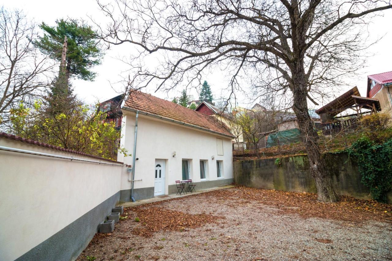 Crisan Residence - Vila Crisan Braşov Esterno foto